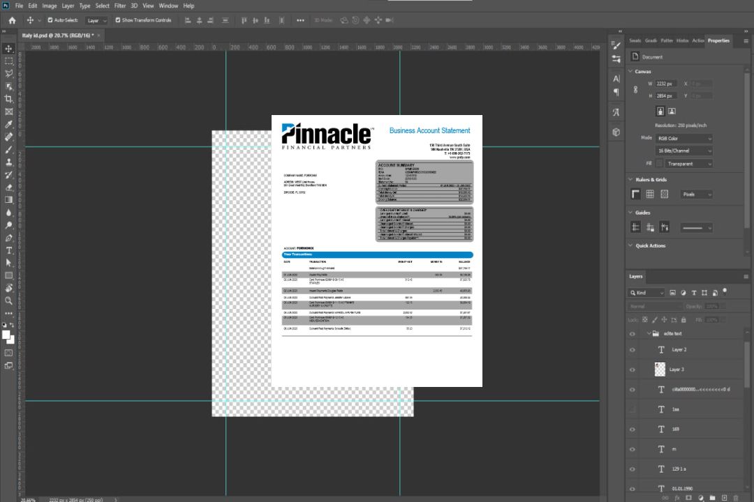 Modèle Word et PDF de relevé de compte d'entreprise de Pinnacle Financial Bank template